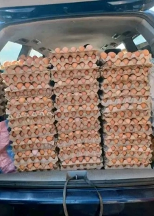 Vente des œufs et poulet 