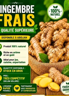 GINGEMBRE FRAIS DE QUALITÉ SUPÉRIEURE