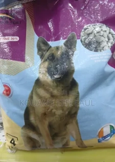 Croquettes Pour Chien