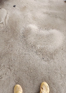 Coquillage Broyé