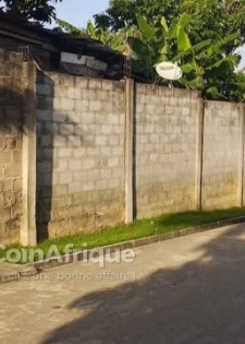 Terrain 600m² - Urb¹bwk, commune de Cocody Riviera palmerai