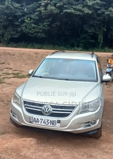 Volkswagen Tiguan 2010 Gris