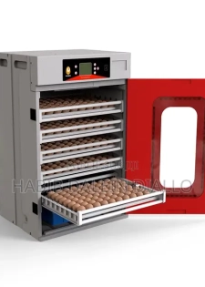 Machine Couveuse, Deux Œuf