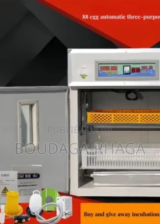 Incubateur Automatique 528œufs