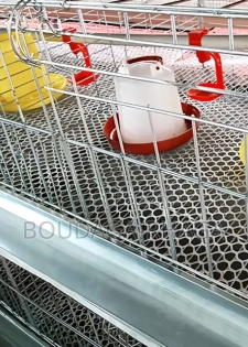 Cages Pondeuses Professionnelles – Boostez Votre Production D’Œufs