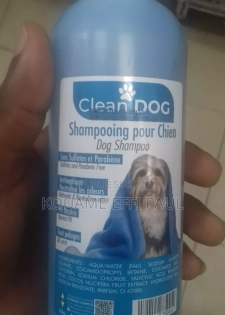 Shampooing Pour Chien