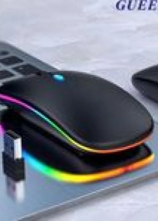 Souris sans fil rechargeable 2.4G