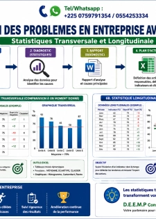 Resolution des problemes en entreprise avec les statistiques