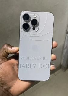 Apple iPhone 15 Pro Max 256 GB Argenté