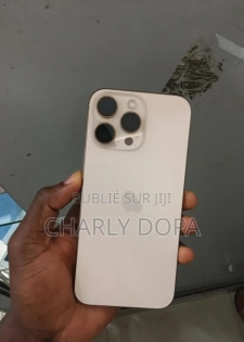Apple iPhone 16 Pro Max 256 GB Autre