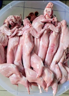 Des lapins frais, tendres et savoureux